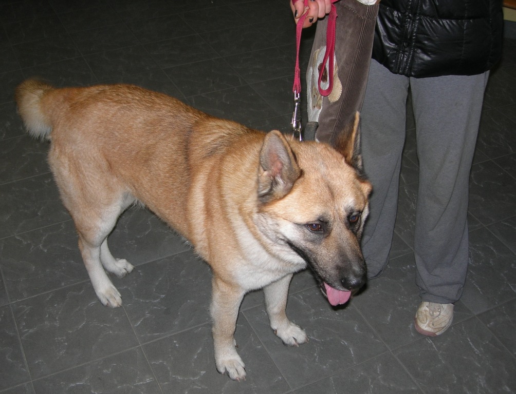 DSCN0316