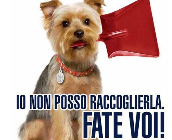 io-non-posso-raccoglierla-fate-voi