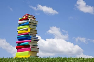 libri2012 (1)