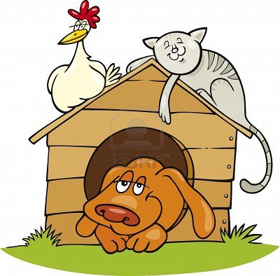 regolamento animali