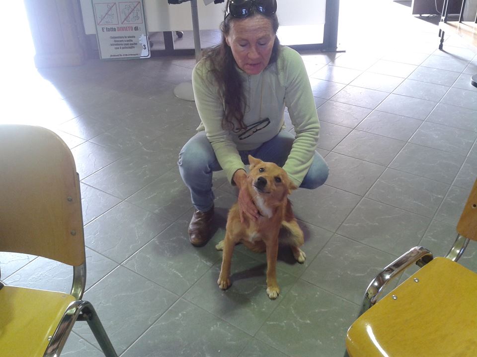 cagnolino ritrovato a Manziana