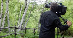 betulle telecamere