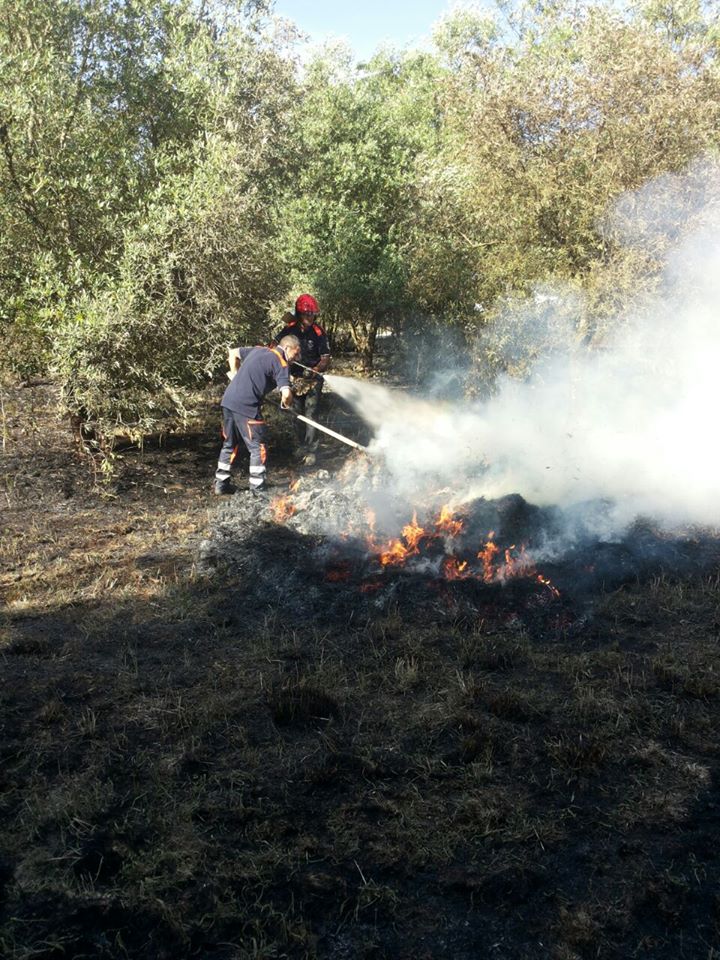 protezione civile incendi