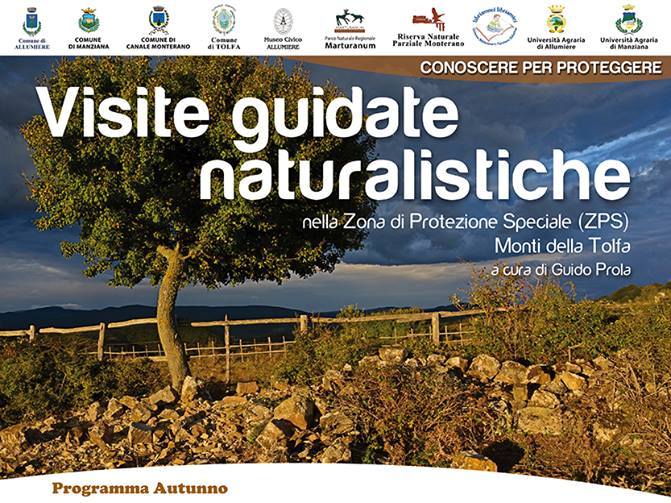 visite guidate prolaok