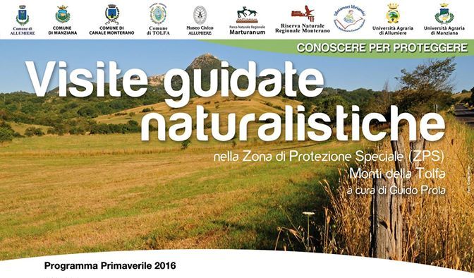 prola 2016